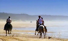 Australia-Queensland-Gold Rush Trail and  Beach Ride